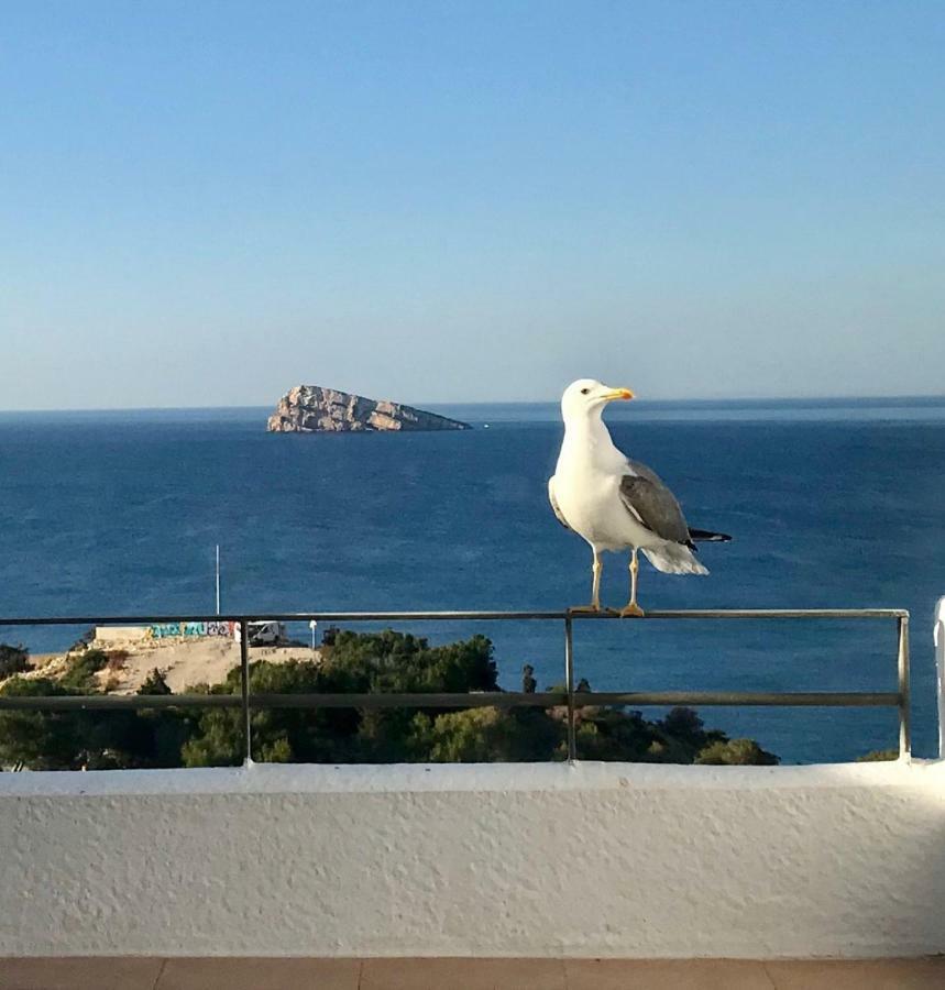 Duplex Villamarina Benidorm Ngoại thất bức ảnh